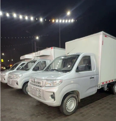 사례 연구 업데이트: DFSK C71 냉장 미니-트럭이 카자흐스탄에 배송되었습니다.